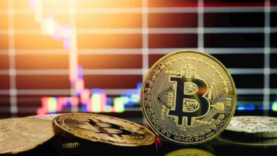 Bitcoin Live Price Predictions: Can Real-Time Data Improve Forecasting?