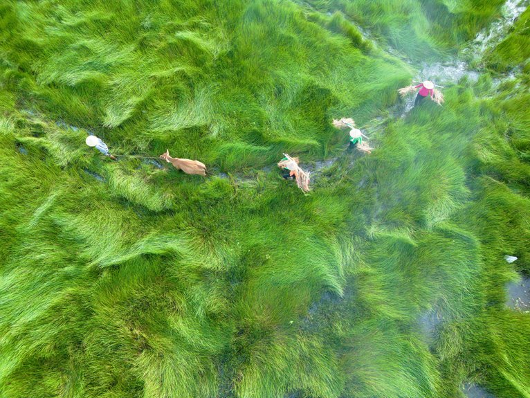 business analysis and overview