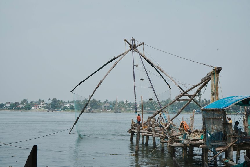 business insights and analysis