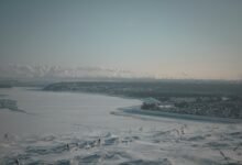 industry overview and analysis