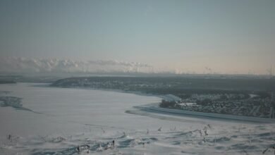 industry overview and analysis