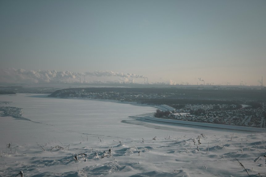 industry overview and analysis