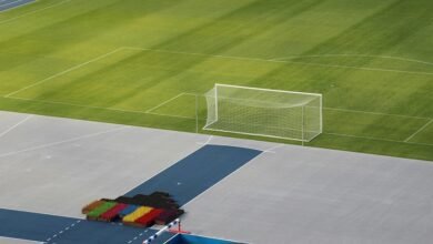 market competition assessment report