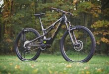 sector activity overview summary