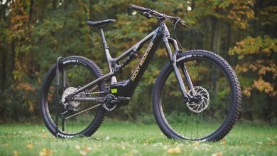 sector activity overview summary