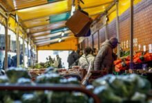 digital demand market interest