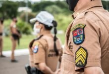 search authority ranking power