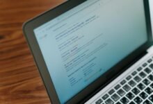 search engine authority building